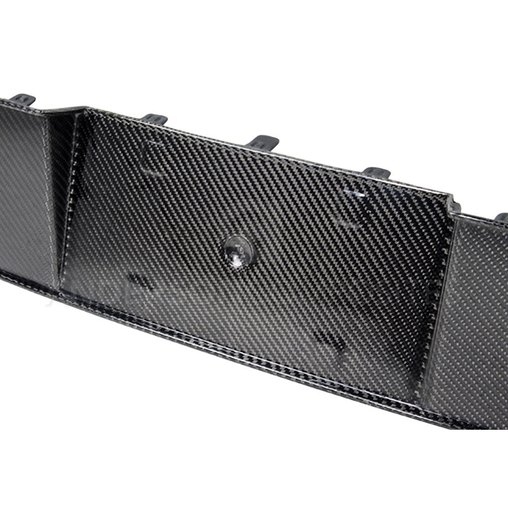 2013-14 MUSTANG / SHELBY GT500 / BOSS 302 CARBON FIBER LICENSE PLATE PANEL