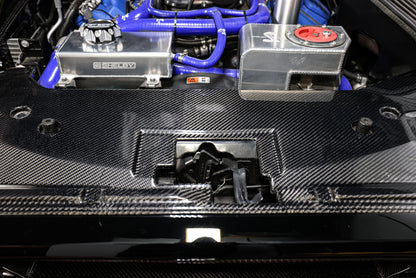 2010-14 Shelby GT500 Carbon Fiber Radiator Cover
