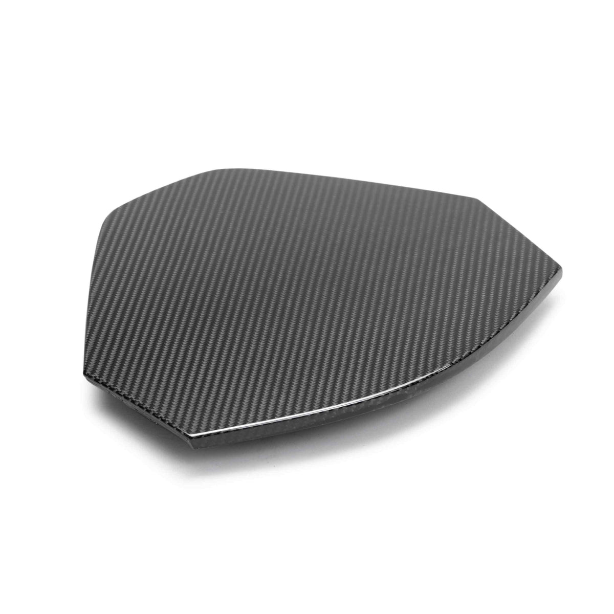 Anderson Composites C8 coupe decklid housing panel, view 3