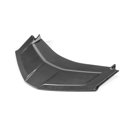 Anderson Composites C8 coupe carbon fiber decklid lower panel, view 1