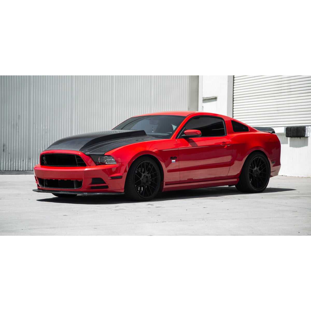 2010-14 Shelby GT500 / 2013-14 Mustang Type-CJ Carbon Fiber Cowl Hood - view 10