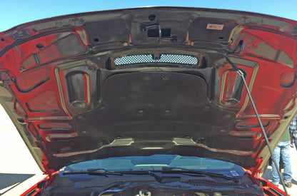 2015-20 MUSTANG SHELBY GT350 DOUBLE-SIDED CARBON FIBER HOOD