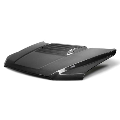 2017-20 Ford F-150 Raptor Type-OE carbon fiber hood - image 2
