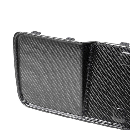 2013-14 Mustang / Shelby GT500 / Boss 302 Carbon Fiber License Plate Panel