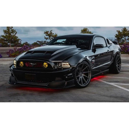 2010-14 Shelby GT500 / 2013-14 Mustang Type-TS Ram Air Carbon Fiber Hood