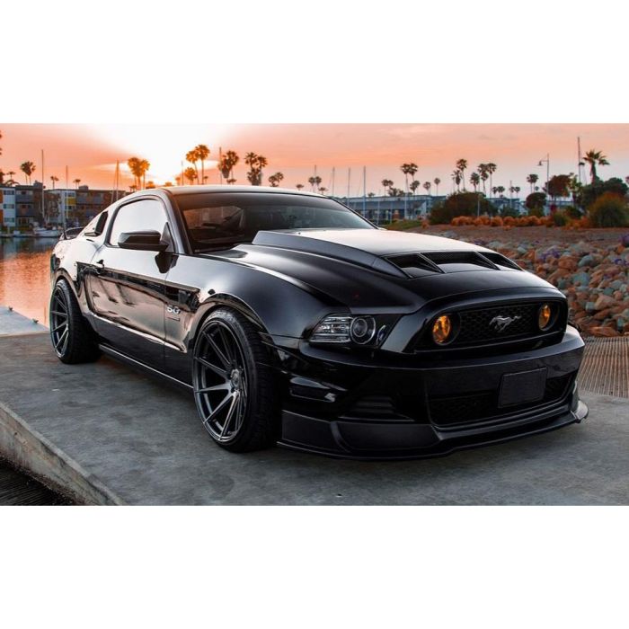 2010-14 Shelby GT500 / 2013-14 Mustang Type-TS Ram Air Carbon Fiber Hood